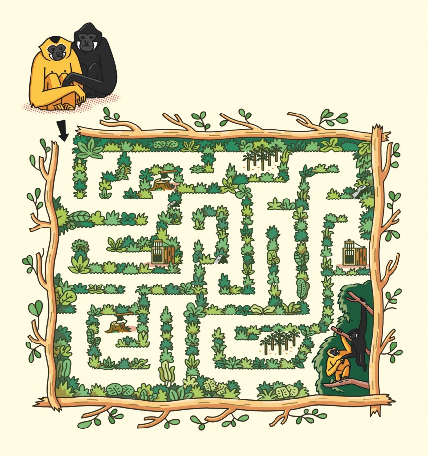 Mathieu Demore, Illustration jeunesse et Bande-dessinée Le p'tit journal - Bioparc de Doué la fontaine 