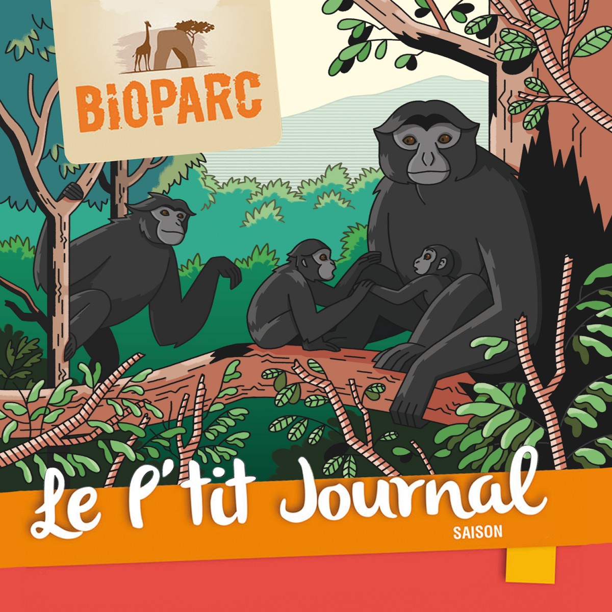 Mathieu Demore, Illustration jeunesse et Bande-dessinée Le p'tit journal - Bioparc de Doué la fontaine 