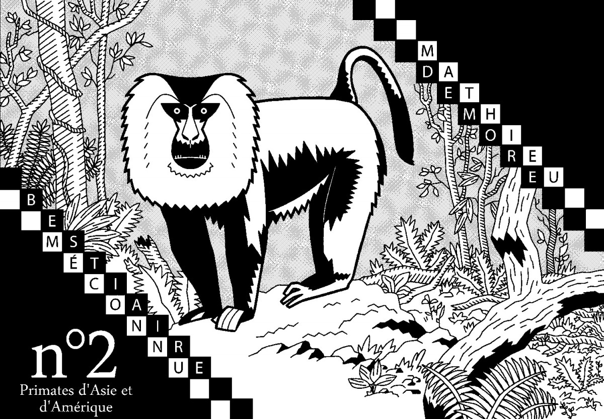 Mathieu Demore, Illustration jeunesse et Bande-dessinée Encyclopedie animalière 