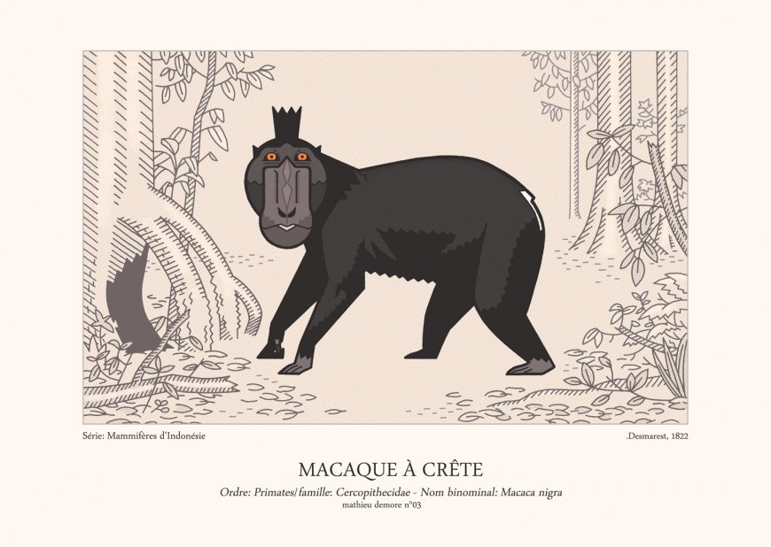 Mathieu Demore, Illustration jeunesse et Bande-dessinée Encyclopedie animalière 