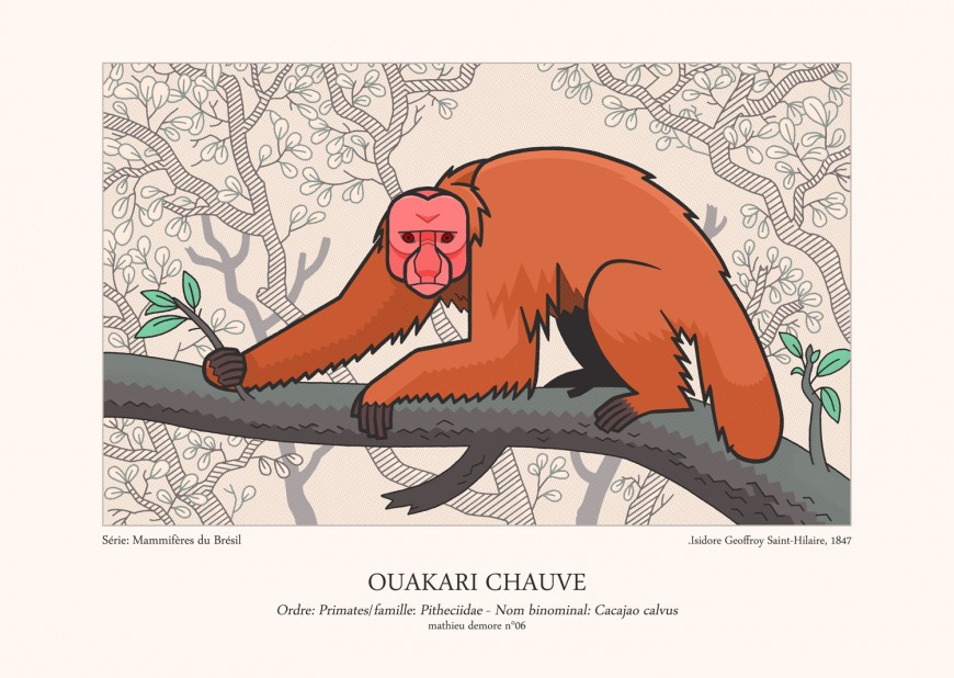 Mathieu Demore, Illustration jeunesse et Bande-dessinée Encyclopedie animalière 