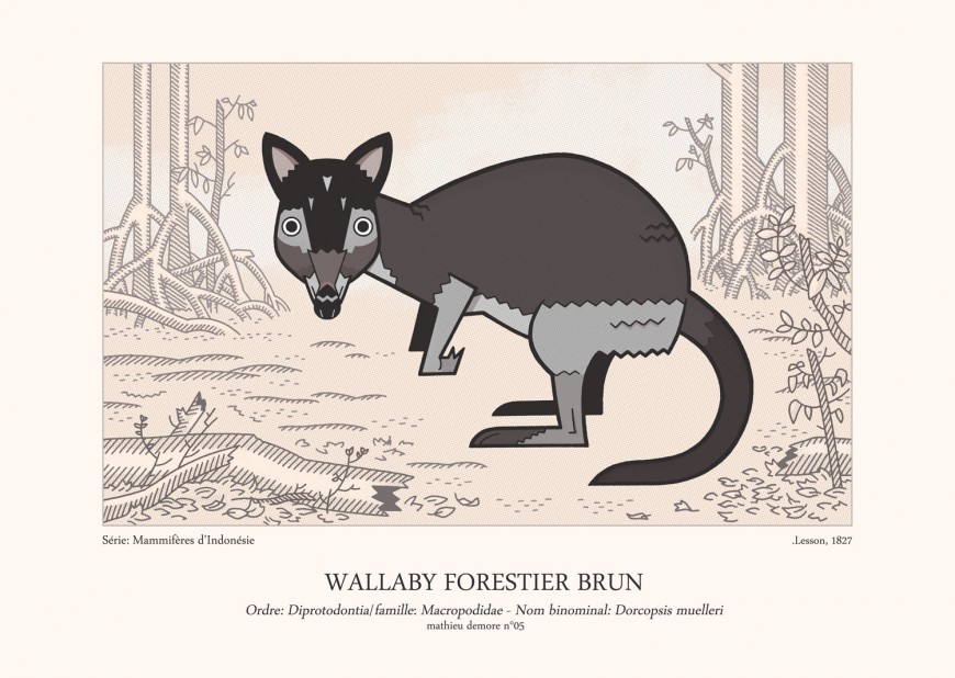 Mathieu Demore, Illustration jeunesse et Bande-dessinée Encyclopedie animalière 