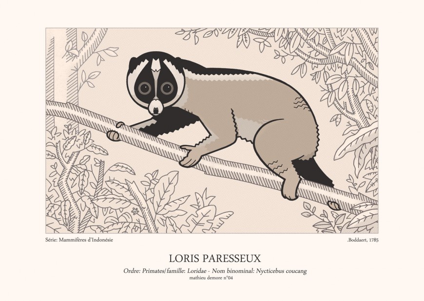 Mathieu Demore, Illustration jeunesse et Bande-dessinée Encyclopedie animalière 