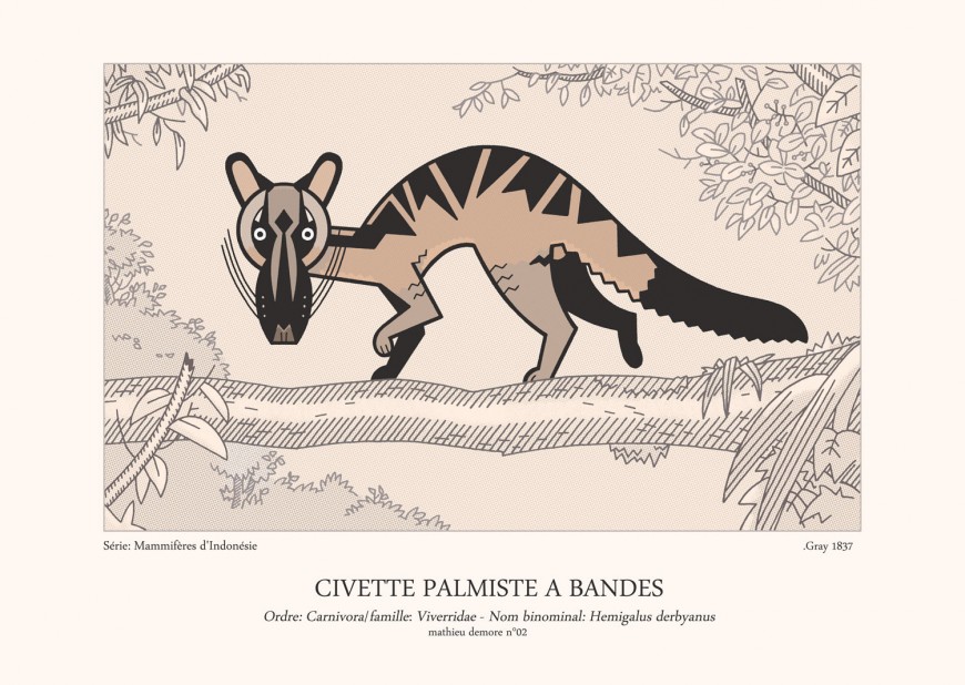 Mathieu Demore, Illustration jeunesse et Bande-dessinée Encyclopedie animalière 