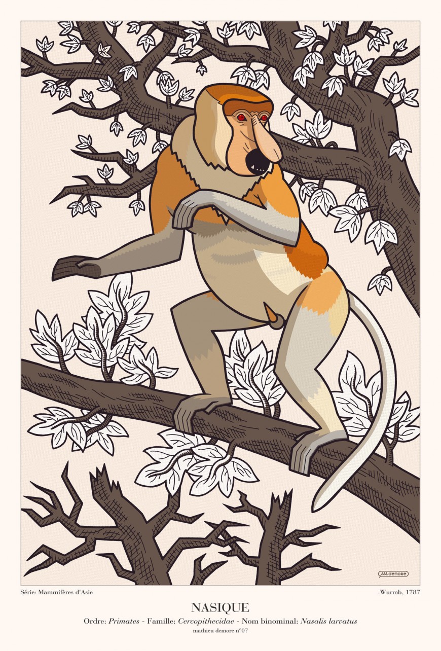 Mathieu Demore, Illustration jeunesse et Bande-dessinée Encyclopedie animalière 