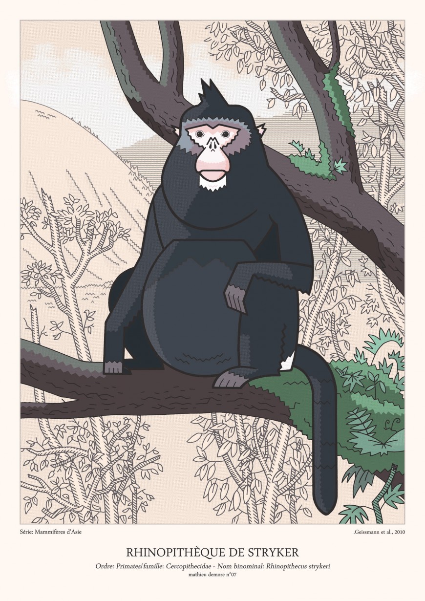 Mathieu Demore, Illustration jeunesse et Bande-dessinée Encyclopedie animalière 