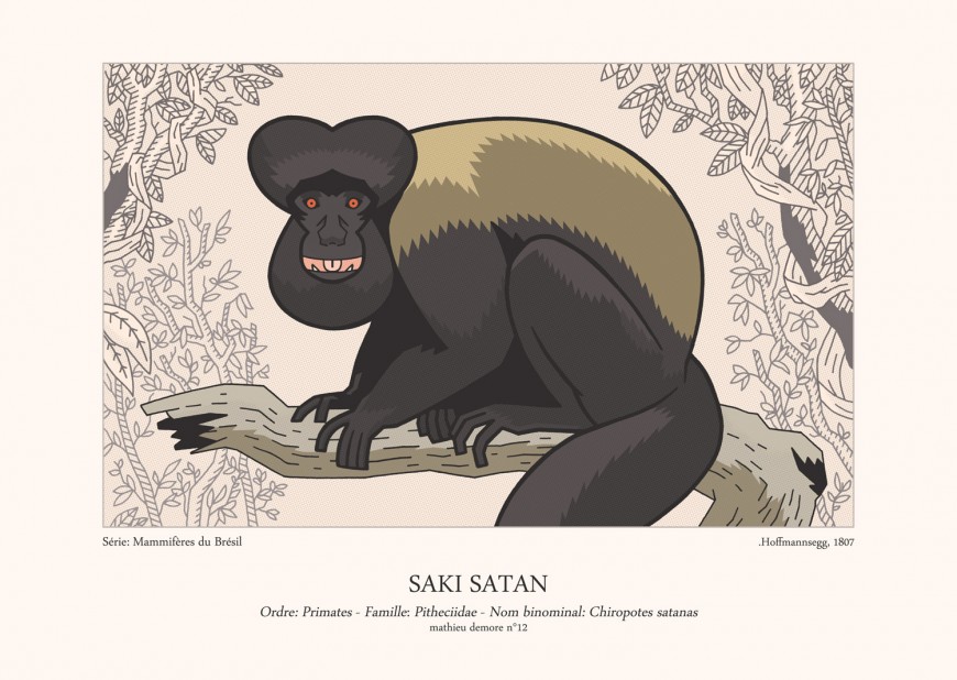 Mathieu Demore, Illustration jeunesse et Bande-dessinée Encyclopedie animalière 