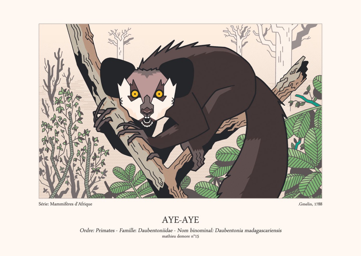 Mathieu Demore, Illustration jeunesse et Bande-dessinée Encyclopedie animalière 
