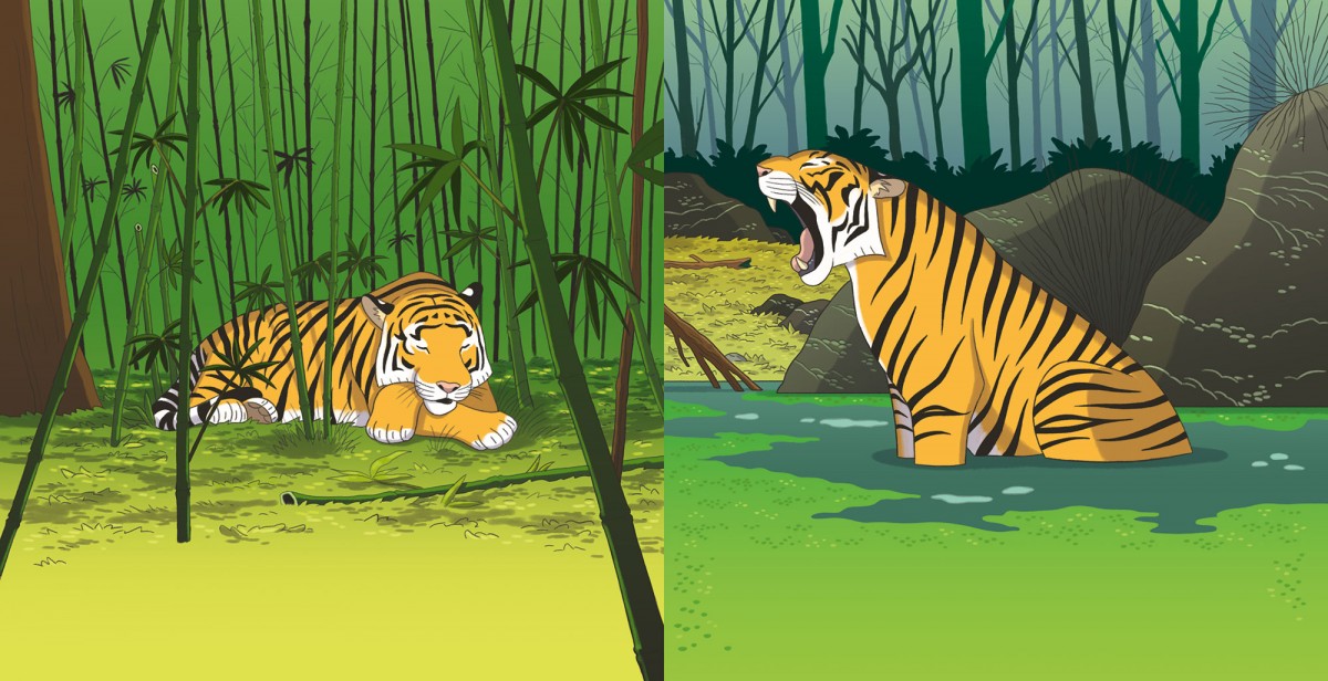 Mathieu Demore, Illustration jeunesse et Bande-dessinée Mes p'tits docs - Le tigre 