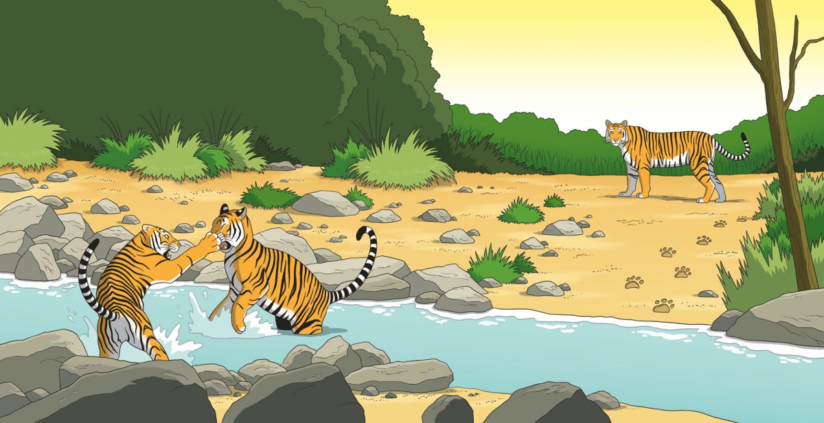 Mathieu Demore, Illustration jeunesse et Bande-dessinée Mes p'tits docs - Le tigre 