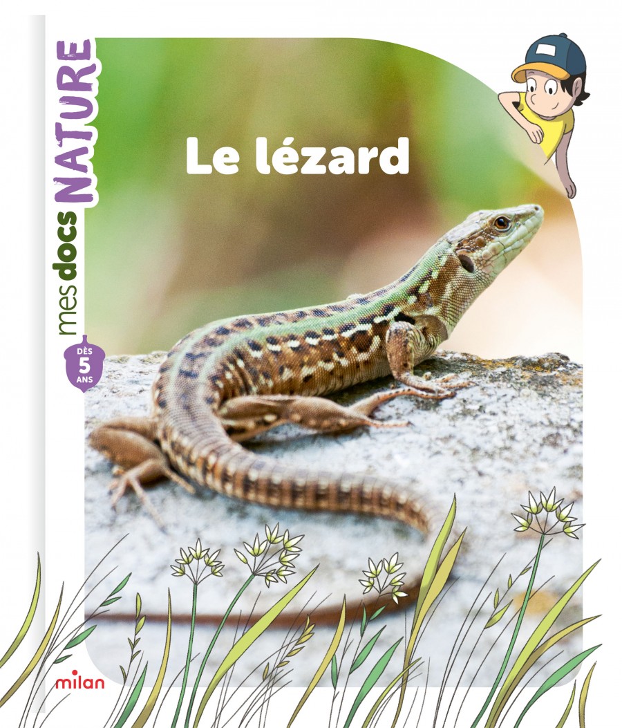 Mathieu Demore, Illustration jeunesse et Bande-dessinée Mes p'tits docs nature - Le lézard Mes p'tits docs nature - Le lézard - Éditions Milan