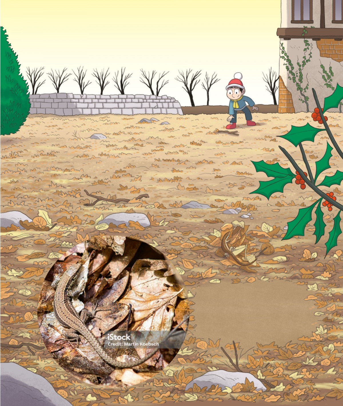 Mathieu Demore, Illustration jeunesse et Bande-dessinée Mes p'tits docs nature - Le lézard 