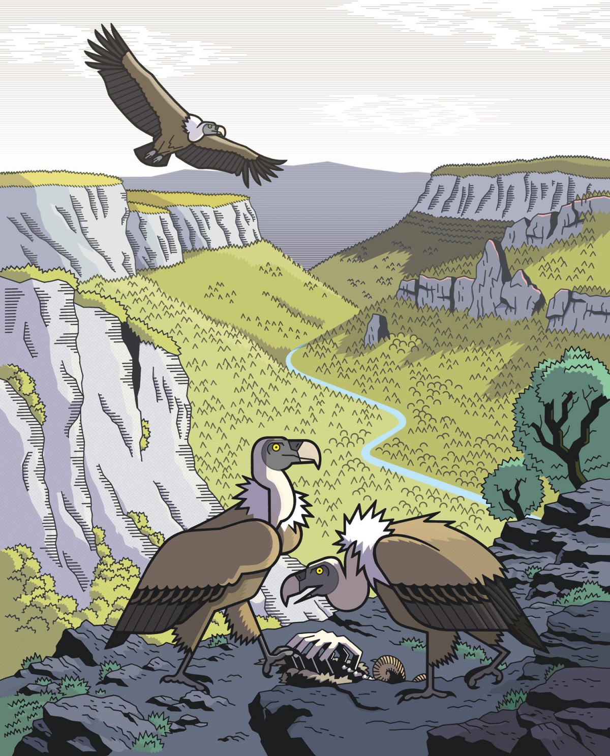 Mathieu Demore, Illustration jeunesse et Bande-dessinée Douce France - Les gorges de la Jonte 
