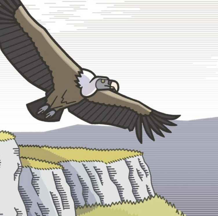 Mathieu Demore, Illustration jeunesse et Bande-dessinée Douce France - Les gorges de la Jonte Illustration pour le recueil Douce France aux éditions Milan et Demi - Mathieu Demore