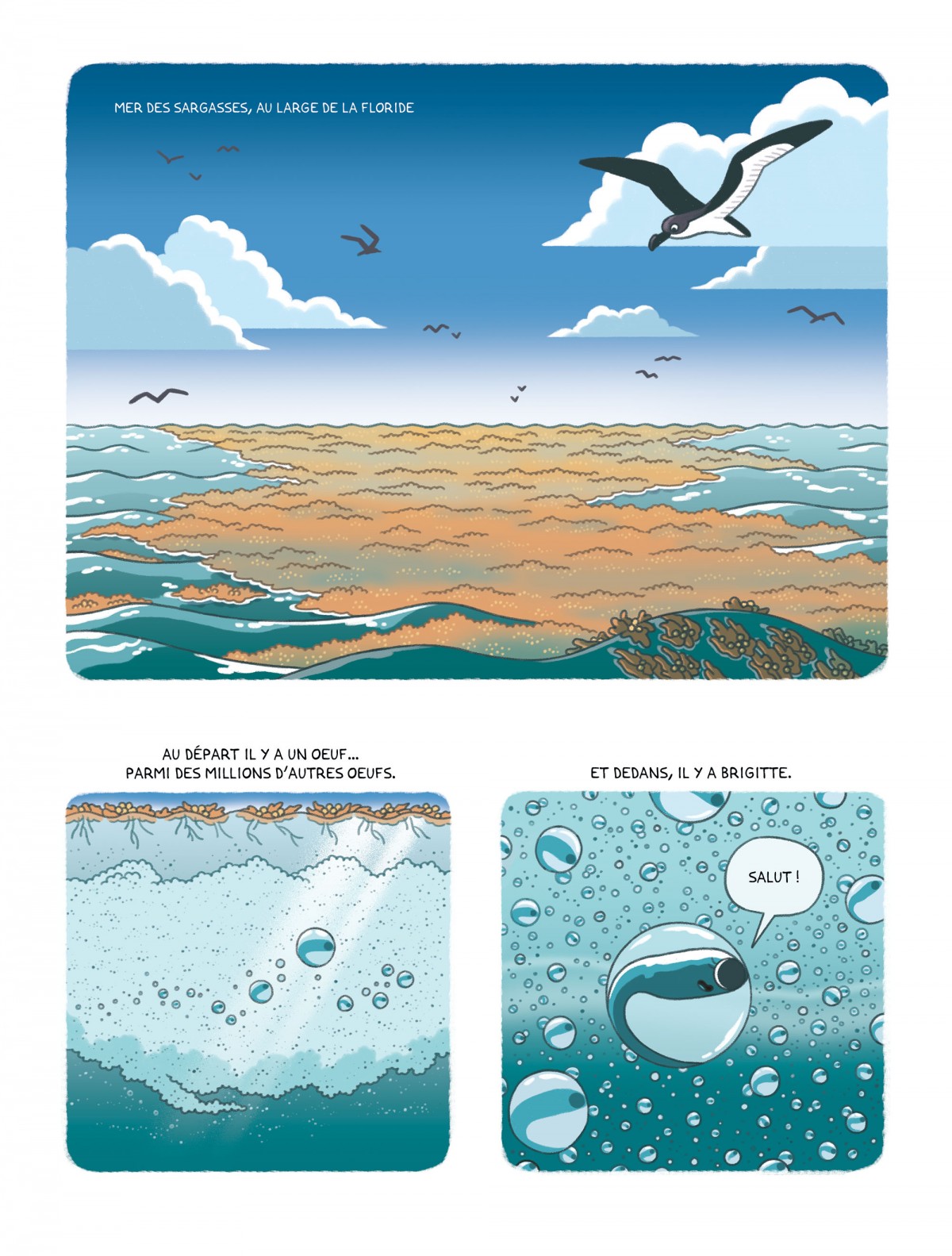 Mathieu Demore, Illustration jeunesse et Bande-dessinée Une vie d'anguille 