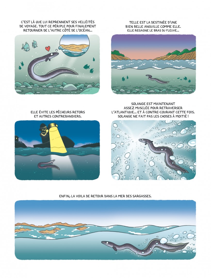 Mathieu Demore, Illustration jeunesse et Bande-dessinée Une vie d'anguille 