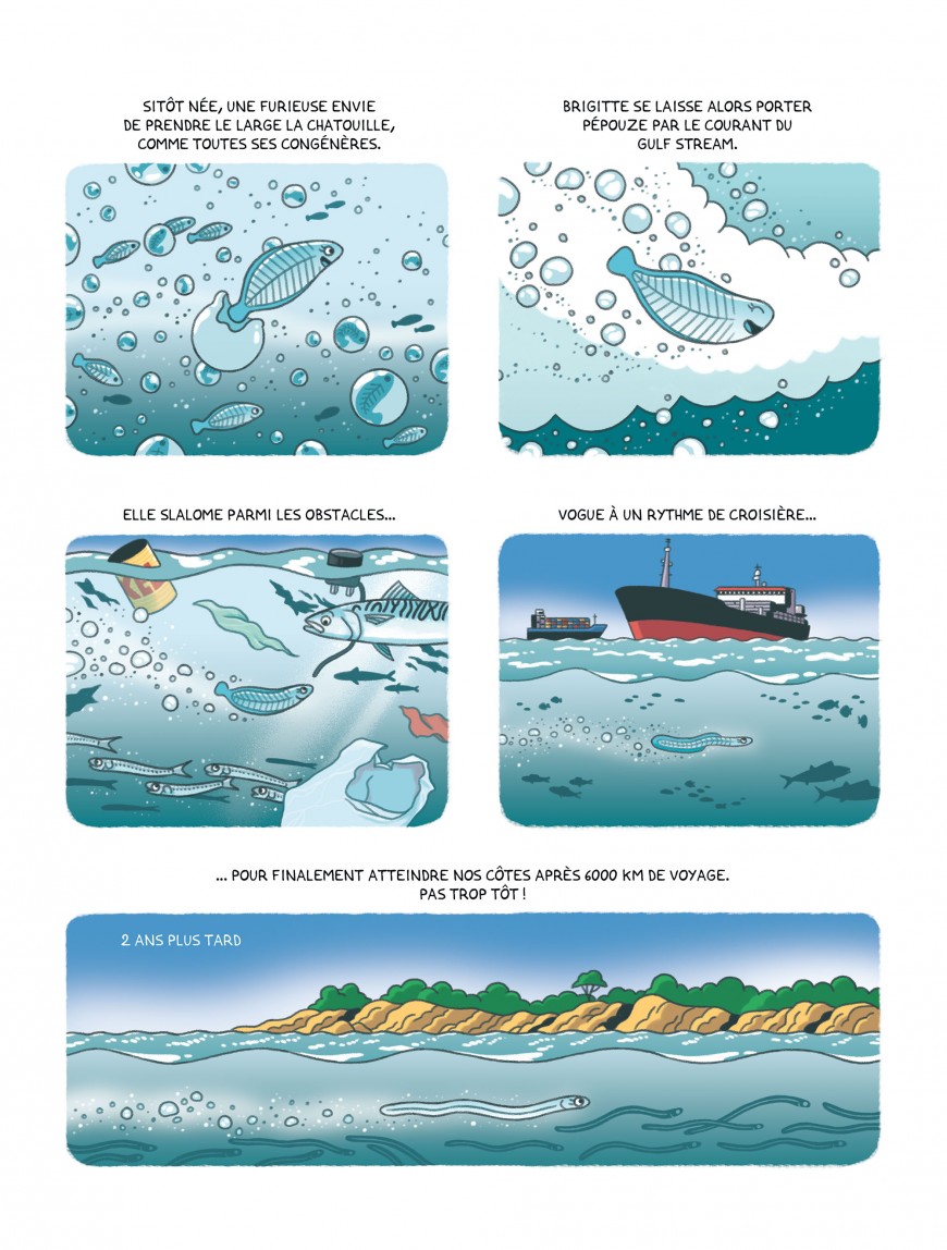 Mathieu Demore, Illustration jeunesse et Bande-dessinée Une vie d'anguille 