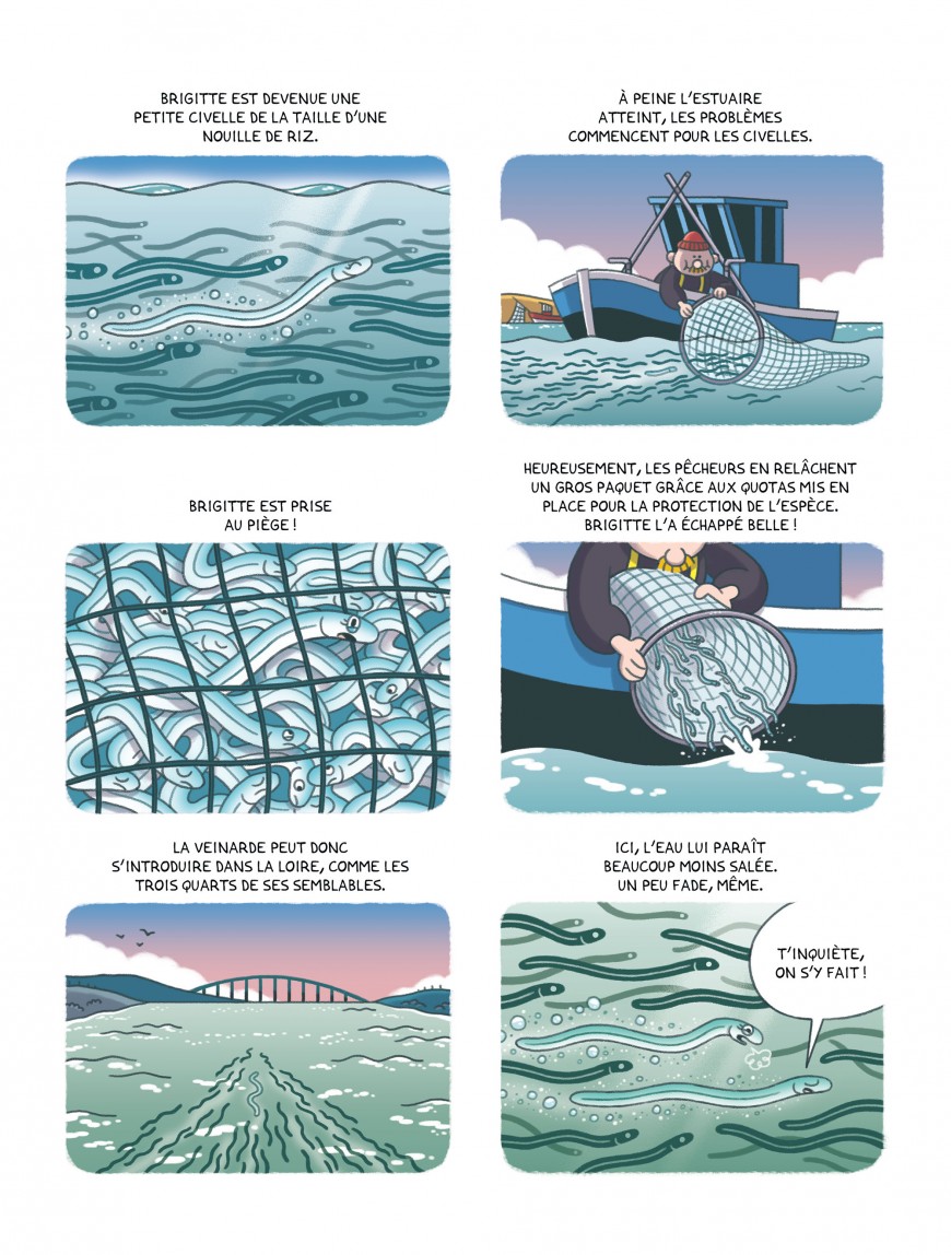 Mathieu Demore, Illustration jeunesse et Bande-dessinée Une vie d'anguille 