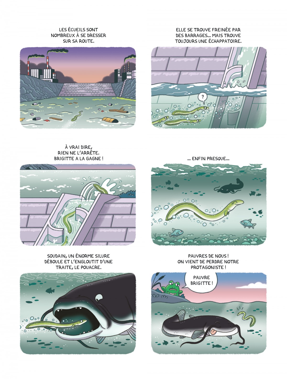 Mathieu Demore, Illustration jeunesse et Bande-dessinée Une vie d'anguille 