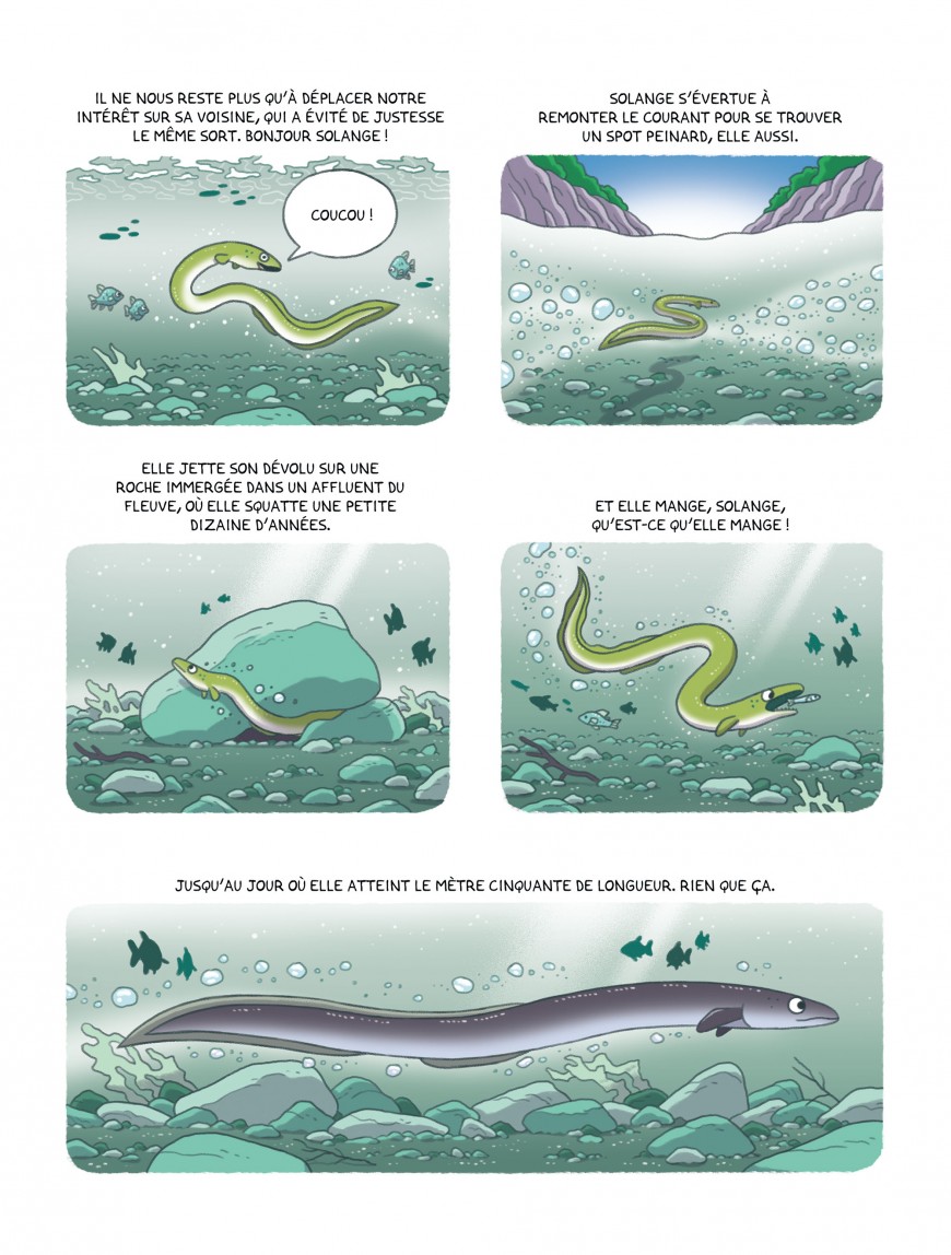Mathieu Demore, Illustration jeunesse et Bande-dessinée Une vie d'anguille 