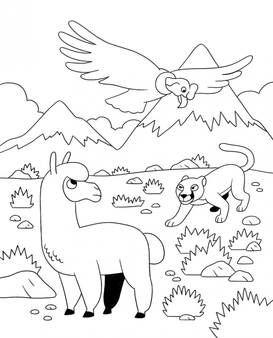 Mathieu Demore, Illustration jeunesse et Bande-dessinée Wakou 