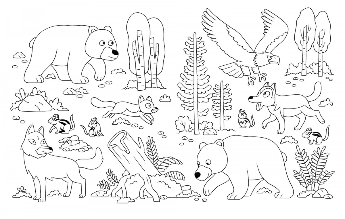Mathieu Demore, Illustration jeunesse et Bande-dessinée Wakou 