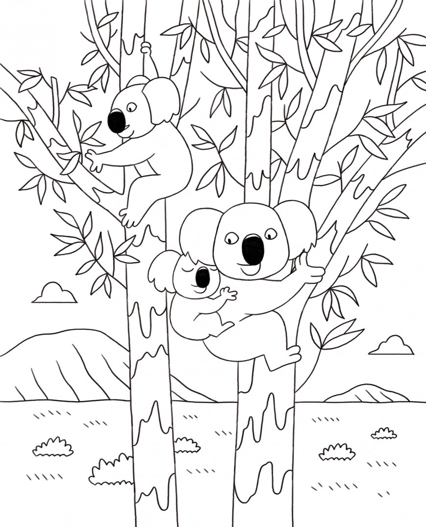Mathieu Demore, Illustration jeunesse et Bande-dessinée Wakou 