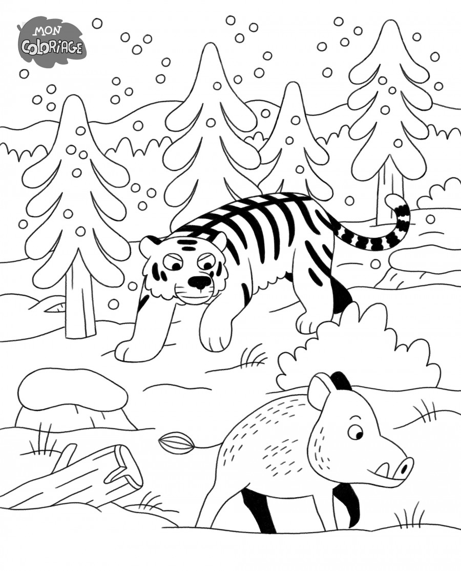 Mathieu Demore, Illustration jeunesse et Bande-dessinée Wakou Illustrations dans Wakou - Éditions Milan Presse - Mathieu Demore