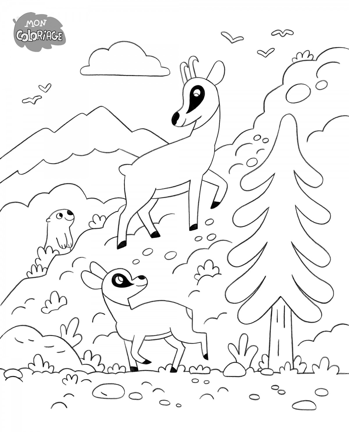 Mathieu Demore, Illustration jeunesse et Bande-dessinée Wakou 