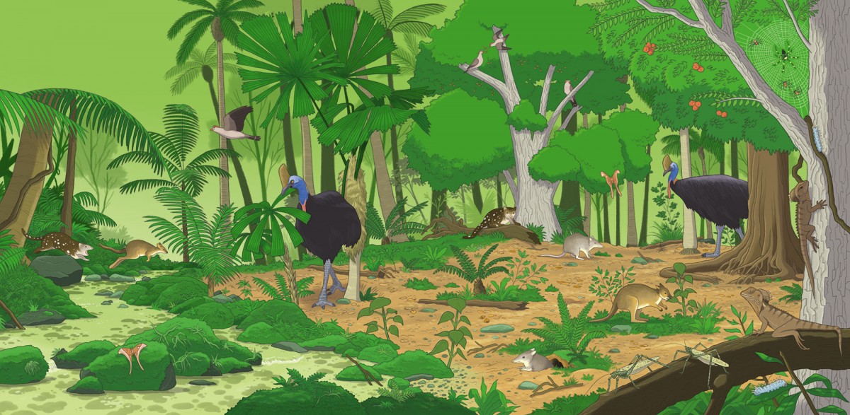 Mathieu Demore, Illustration jeunesse et Bande-dessinée Wapiti 'Cherche et trouve' 