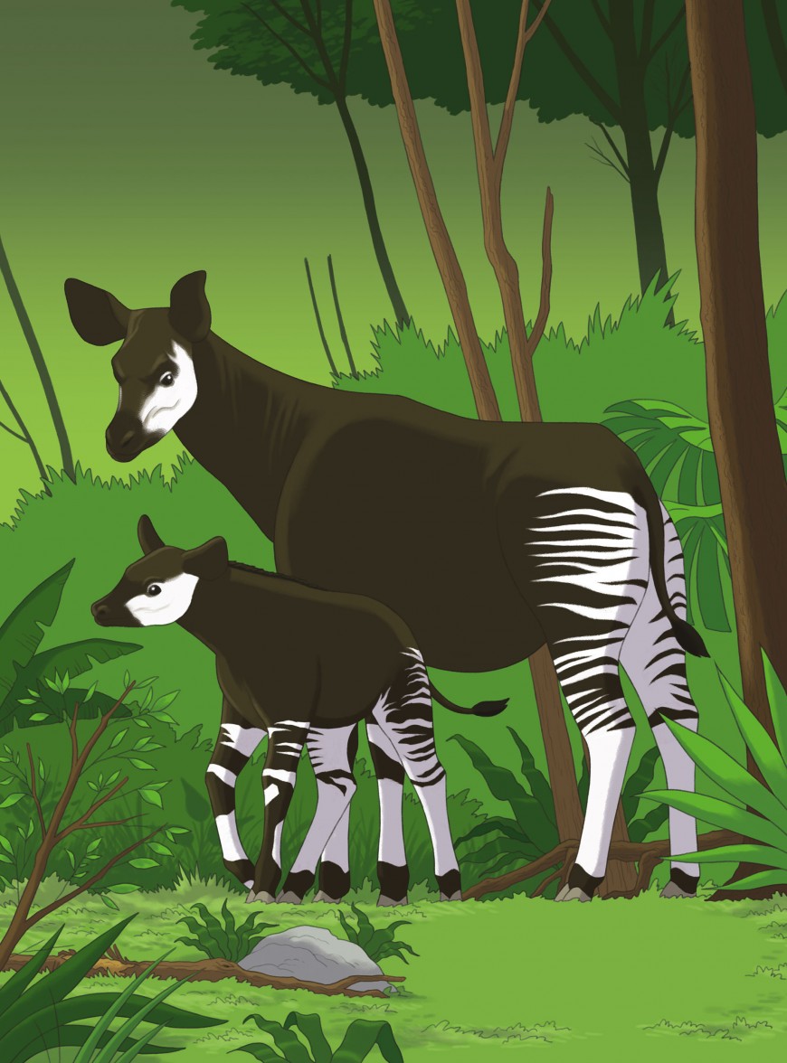 Mathieu Demore, Illustration jeunesse et Bande-dessinée Wapiti 'Cherche et trouve' 
