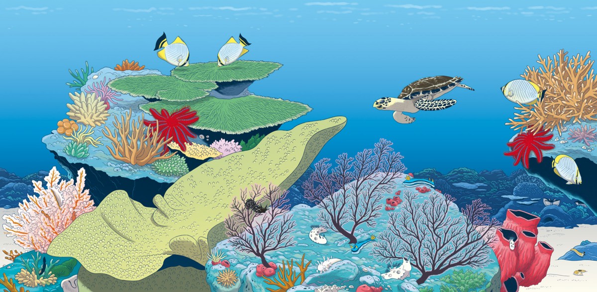 Mathieu Demore, Illustration jeunesse et Bande-dessinée Wapiti 'Cherche et trouve' 