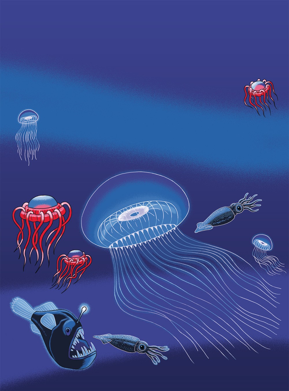 Mathieu Demore, Illustration jeunesse et Bande-dessinée Wapiti Couverture 