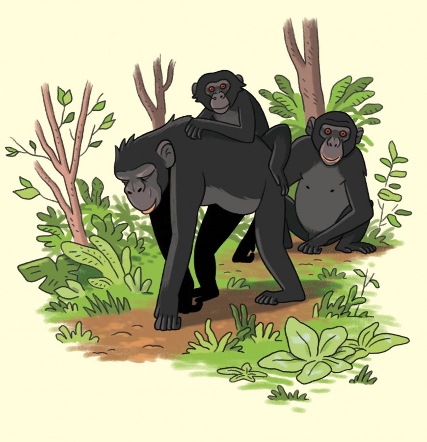 Mathieu Demore, Illustration jeunesse et Bande-dessinée Wapiti Hors-Série 