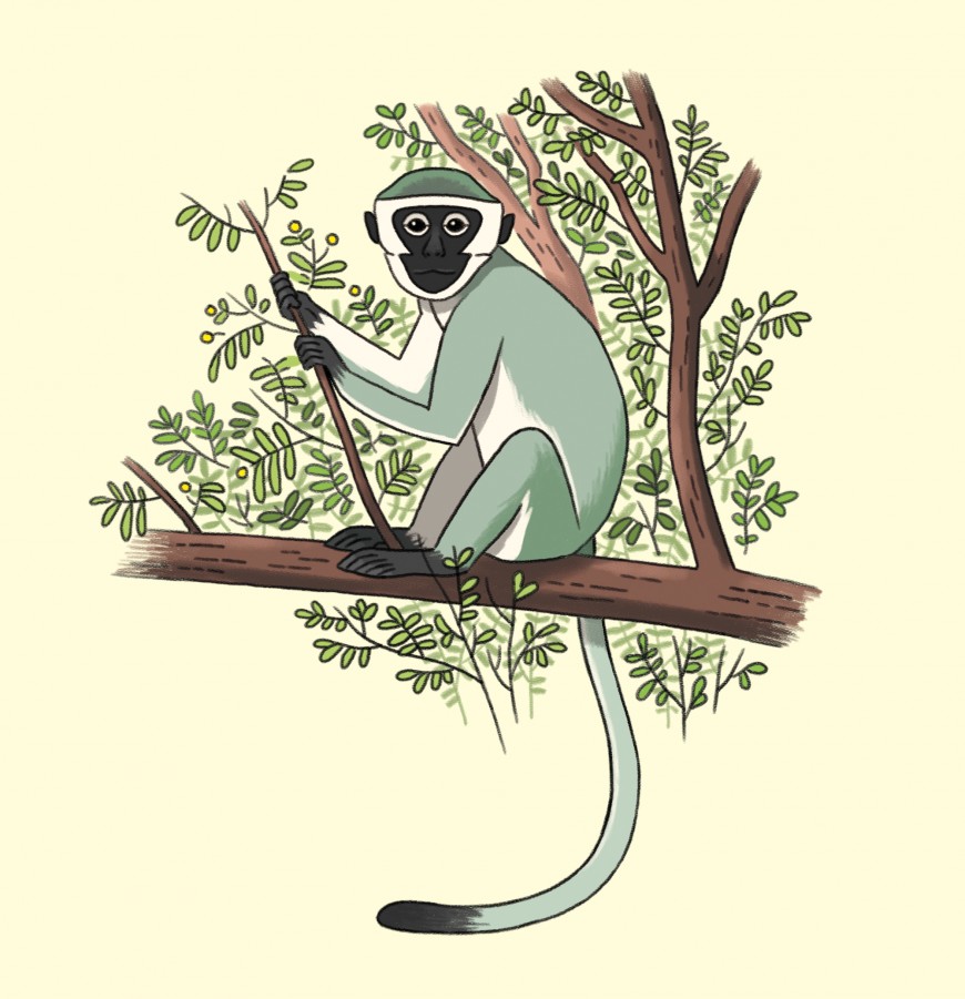 Mathieu Demore, Illustration jeunesse et Bande-dessinée Wapiti Hors-Série 