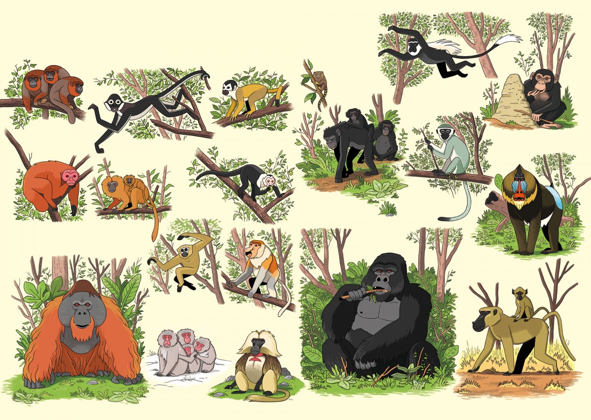 Mathieu Demore, Illustration jeunesse et Bande-dessinée Wapiti Hors-Série 