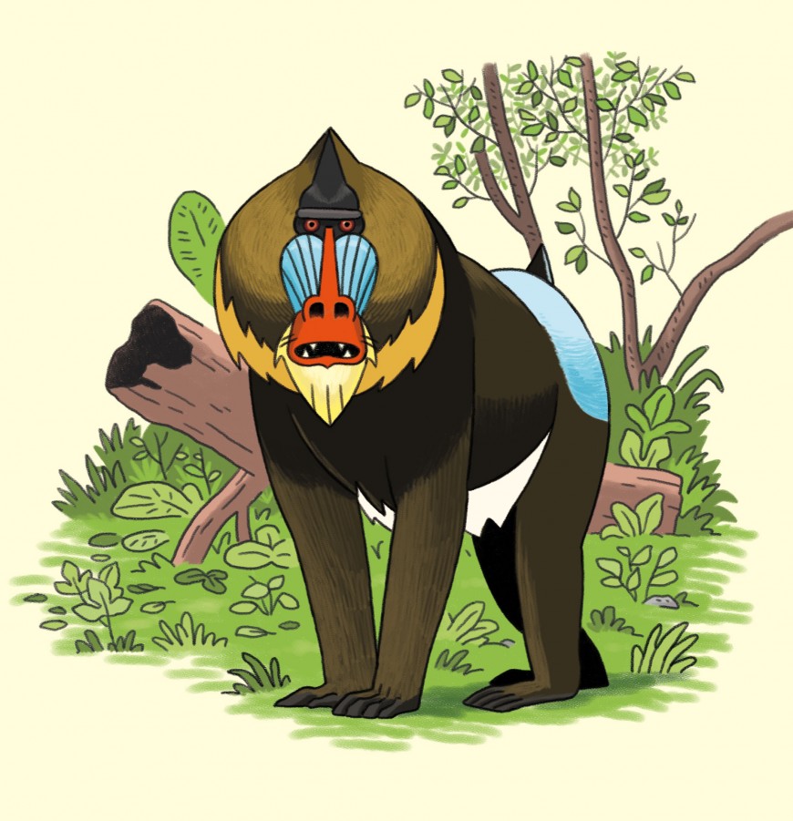 Mathieu Demore, Illustration jeunesse et Bande-dessinée Wapiti Hors-Série 