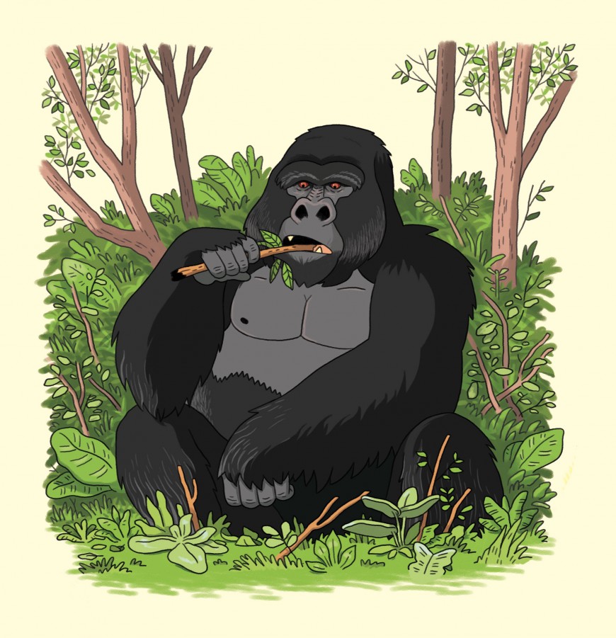 Mathieu Demore, Illustration jeunesse et Bande-dessinée Wapiti Hors-Série 