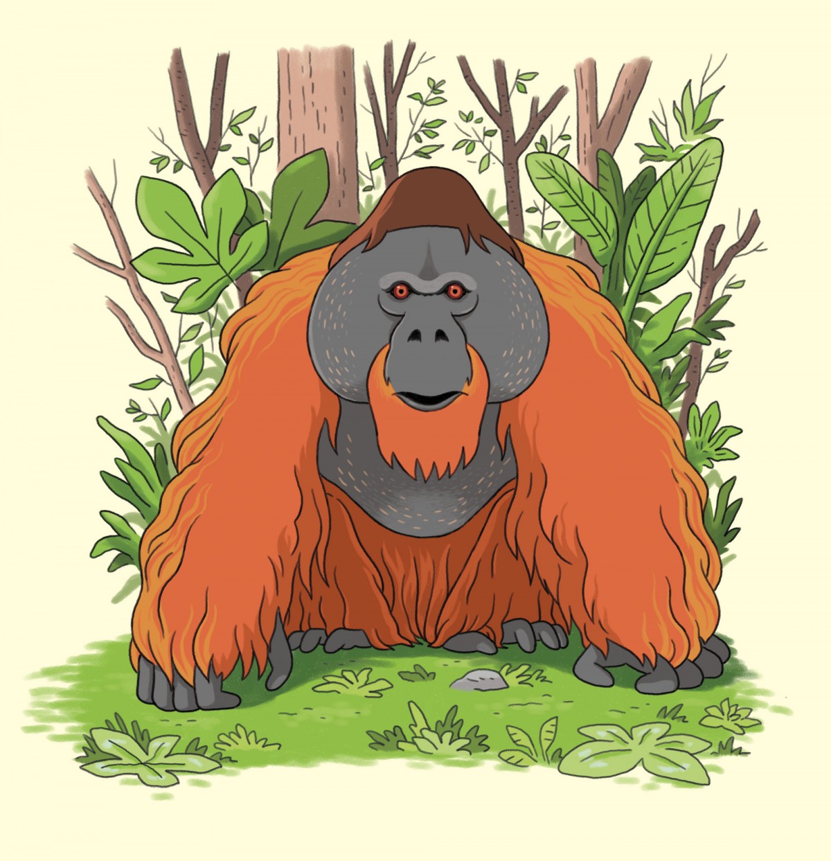 Mathieu Demore, Illustration jeunesse et Bande-dessinée Wapiti Hors-Série 