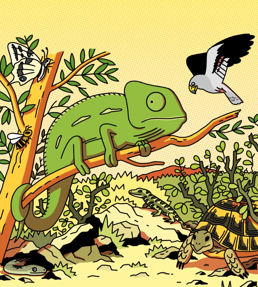 Mathieu Demore, Illustration jeunesse et Bande-dessinée Wapiti Illustrations dans Wapiti - Éditions Milan Presse - Mathieu Demore
