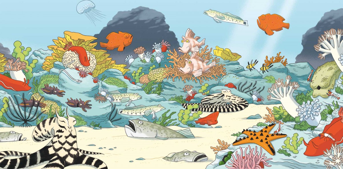 Mathieu Demore, Illustration jeunesse et Bande-dessinée Wapiti 