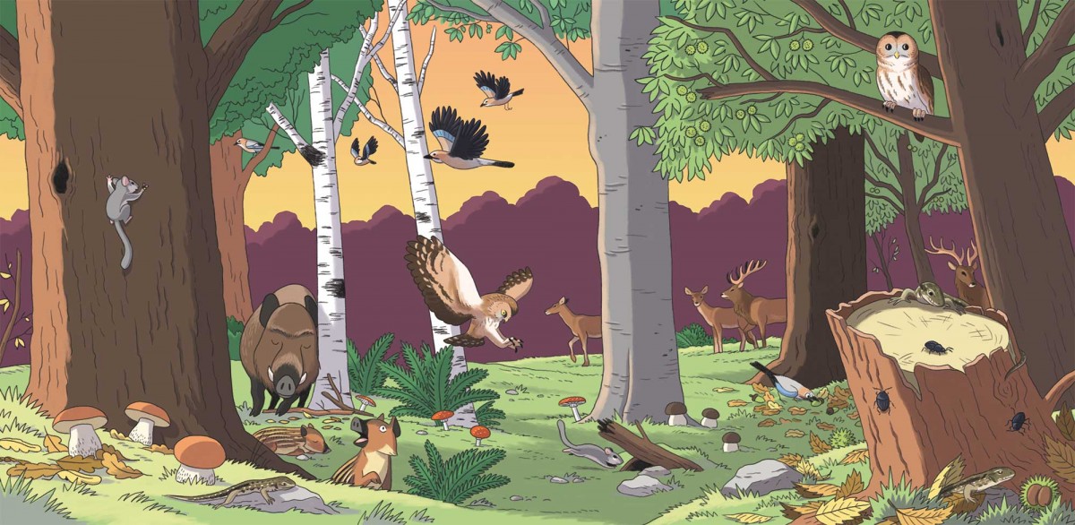 Mathieu Demore, Illustration jeunesse et Bande-dessinée Wapiti 